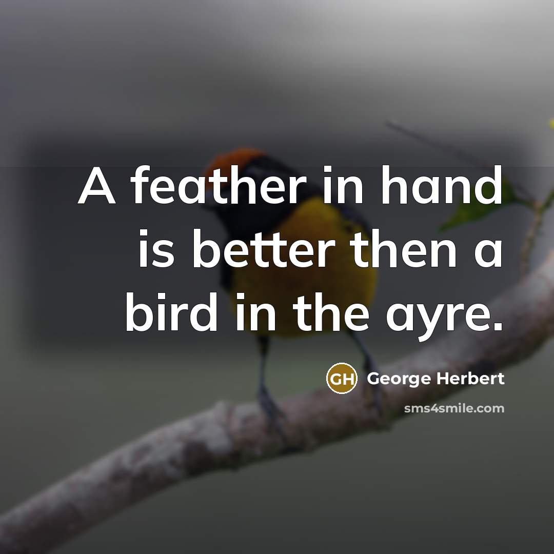 “A feather in hand is better then a bird in…” quote by George Herbert