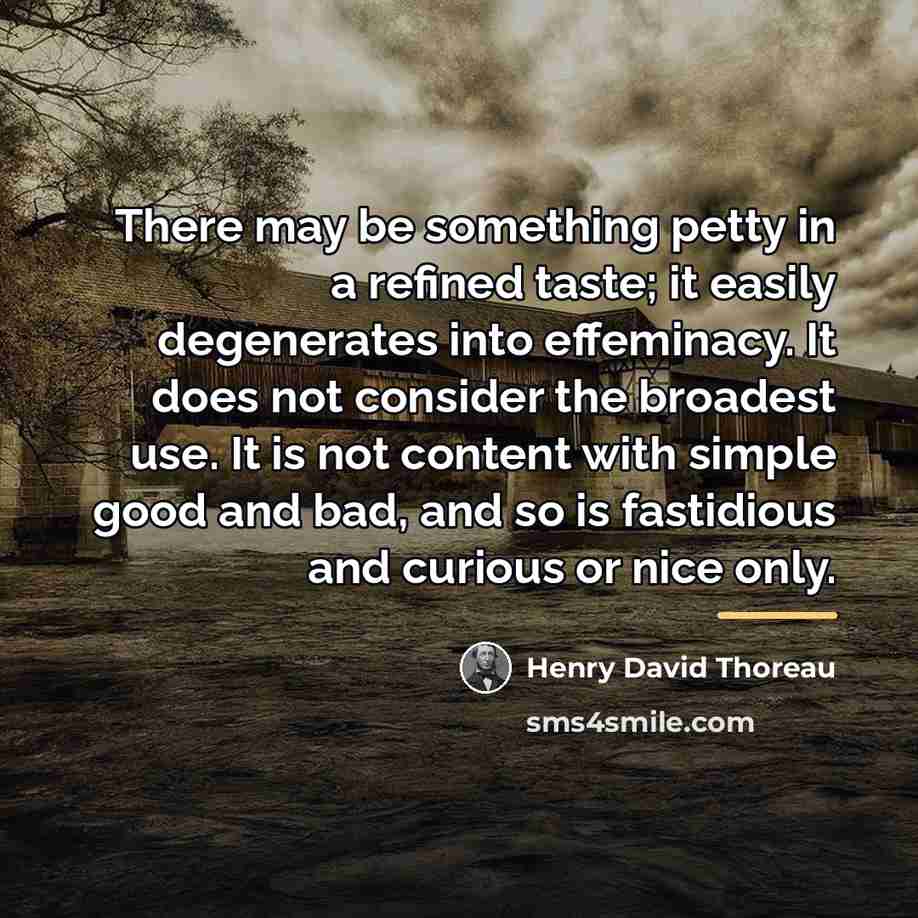 “There may be something petty in a refined taste; it…” quote by Henry David Thoreau