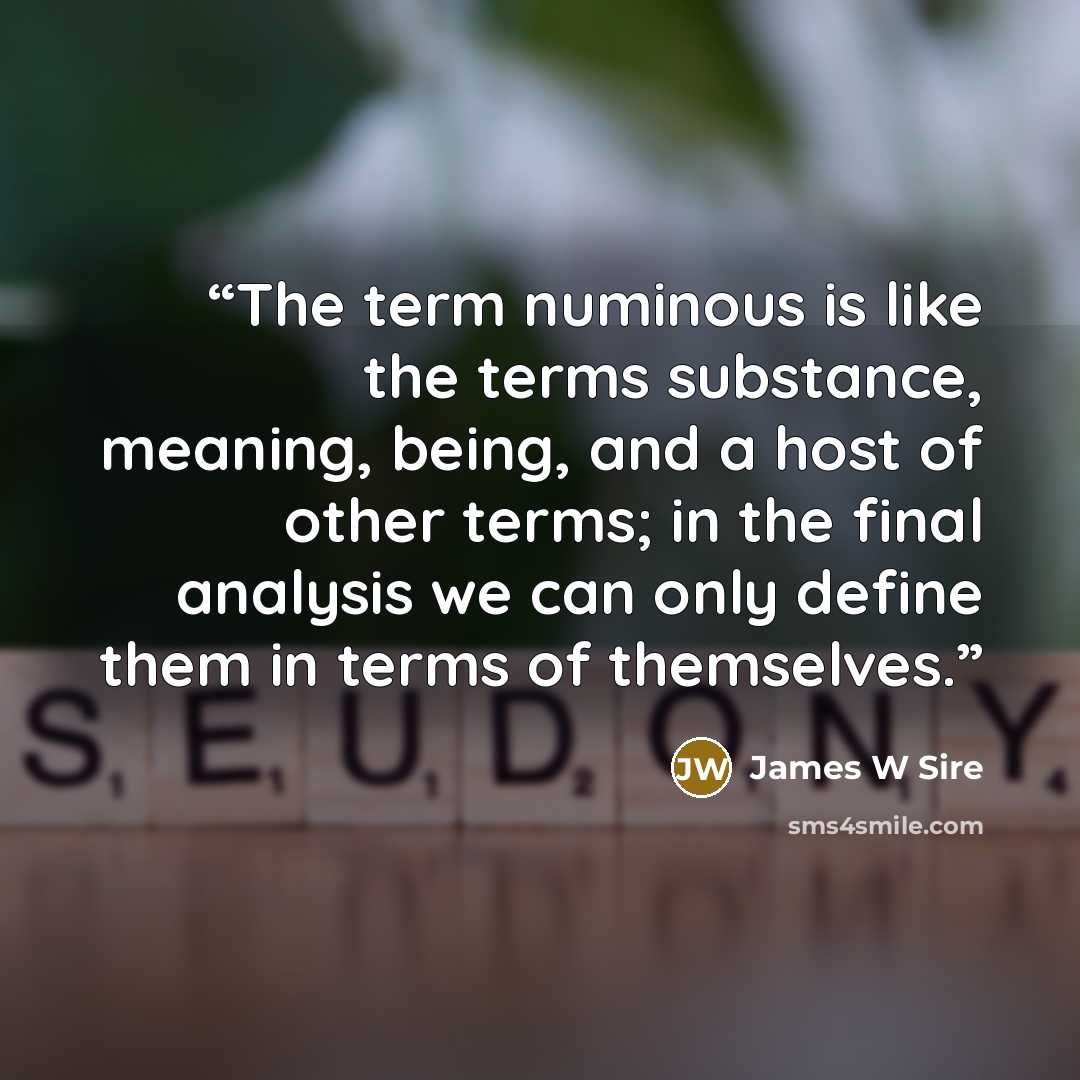 “The term numinous is like the terms substance, meaning, being, and a host of other terms; in the final analysis we can only define them in terms of themselves.” quote by James W Sire