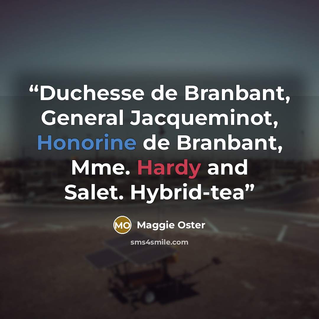 “Duchesse de Branbant, General Jacqueminot, Honorine de Branbant, Mme. Hardy and Salet. Hybrid-tea” quote by Maggie Oster