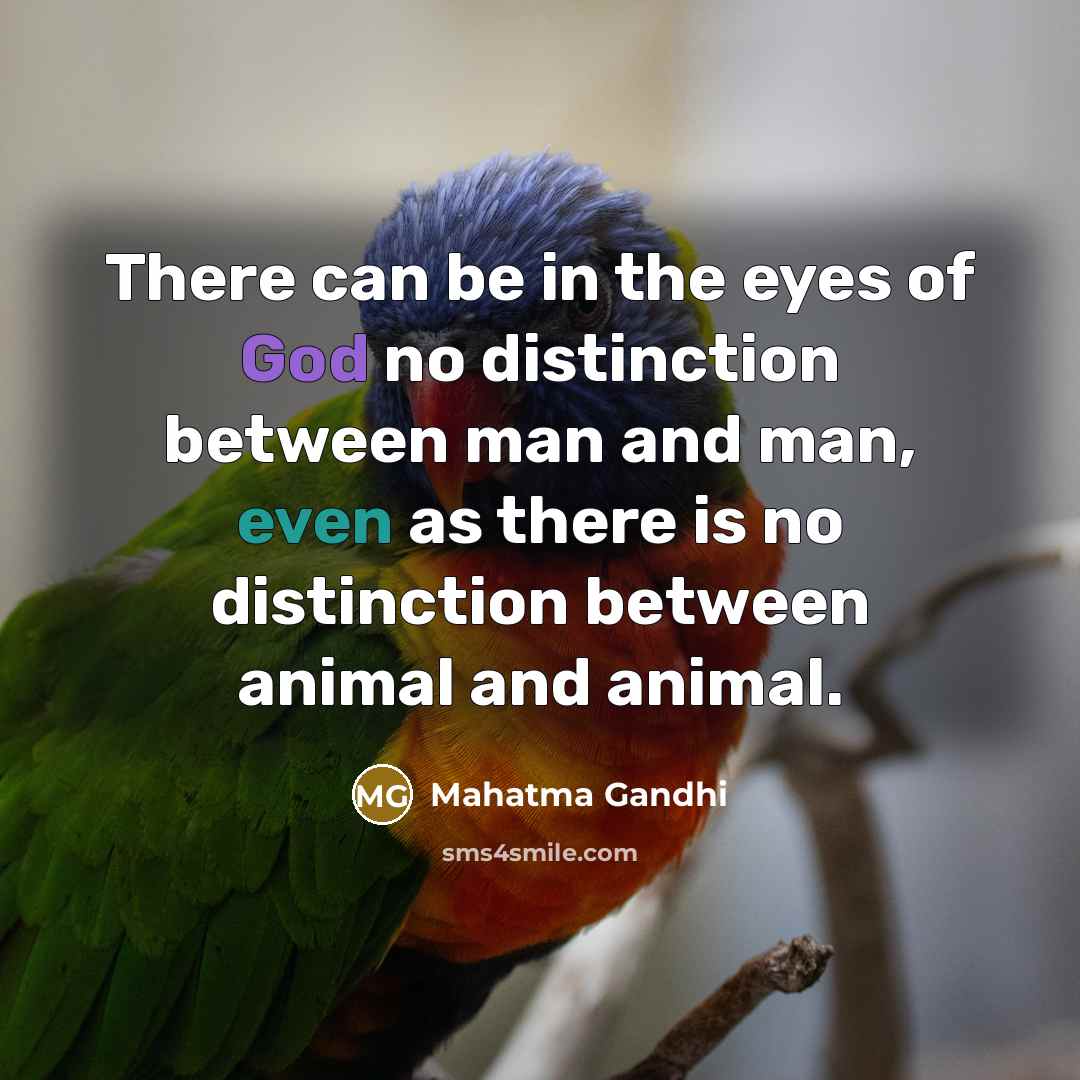 “There can be in the eyes of God no distinction…” quote by Mahatma Gandhi