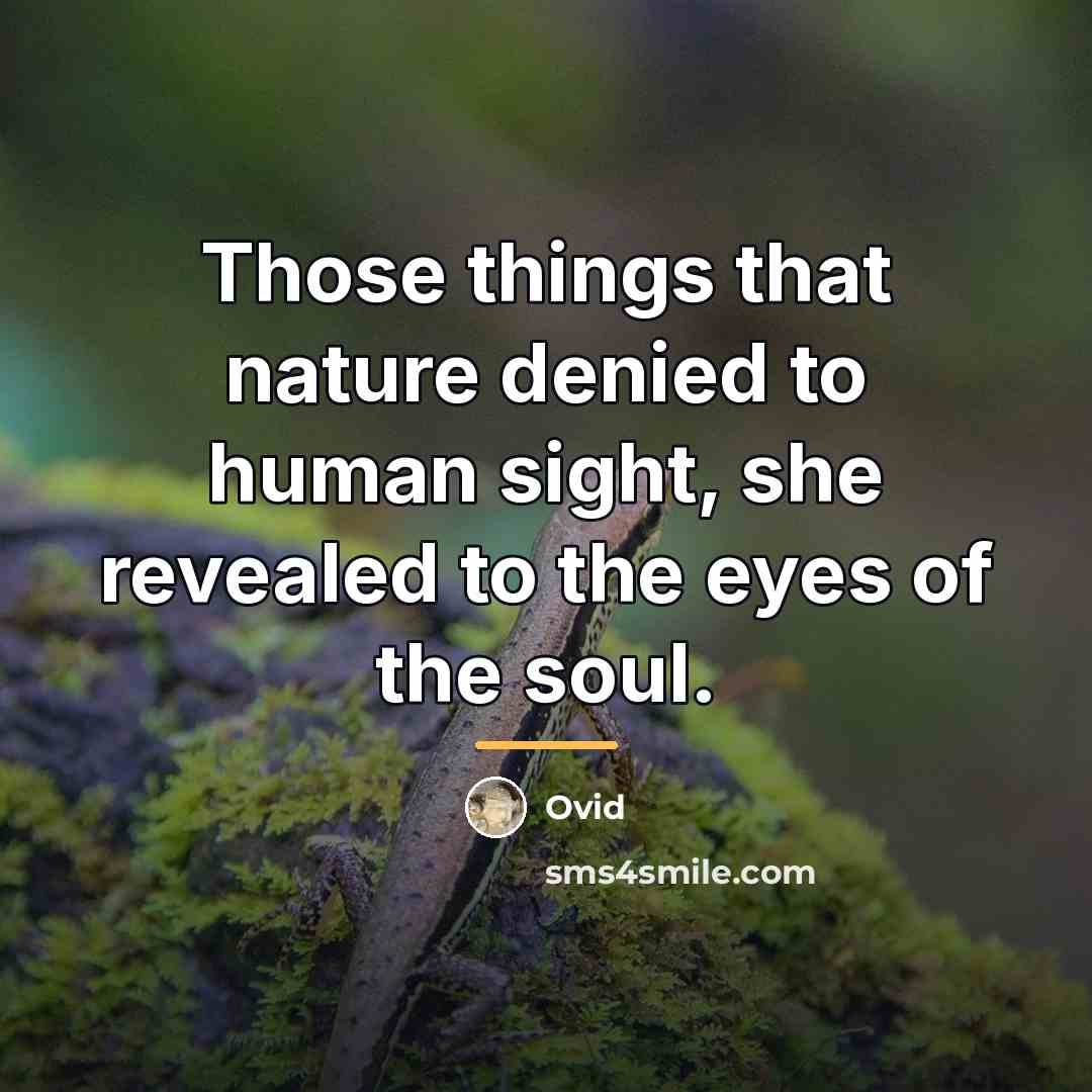 “Those things that nature denied to human sight, she revealed…” quote by Ovid