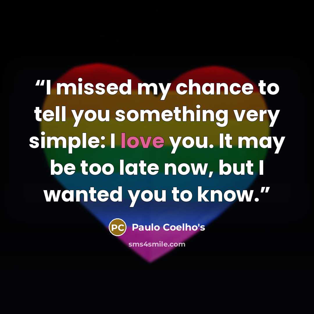 “I missed my chance to tell you something very simple: I love you. It may be too late now, but I wanted you to know.” quote by Paulo Coelho's