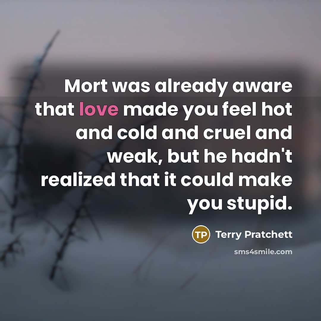 “Mort was already aware that love made you feel hot…” quote by Terry Pratchett