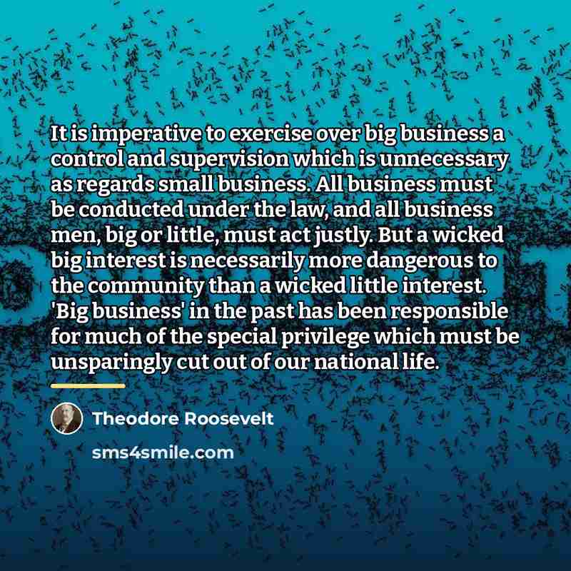 “It is imperative to exercise over big business a control…” quote by Theodore Roosevelt