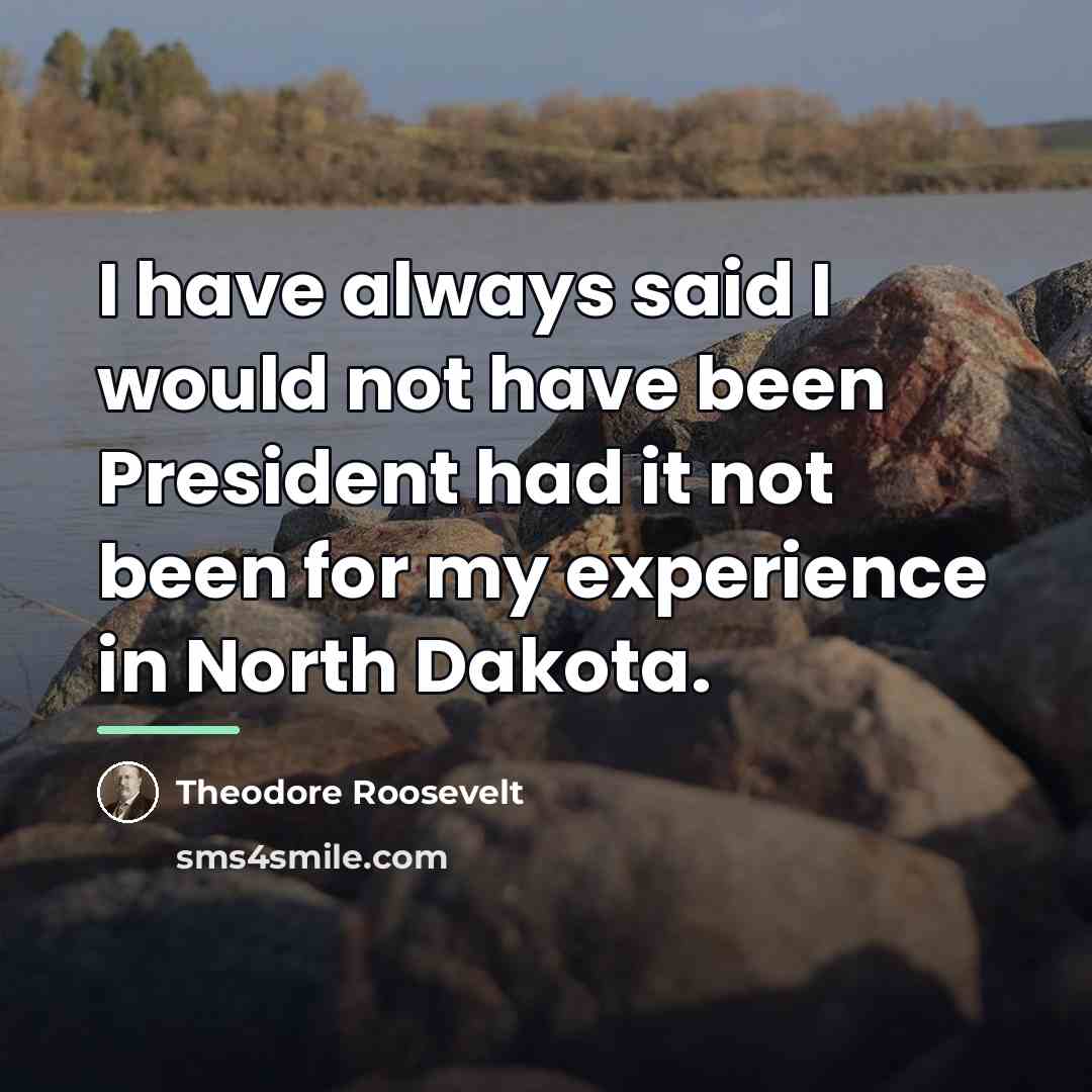 “I have always said I would not have been President…” quote by Theodore Roosevelt