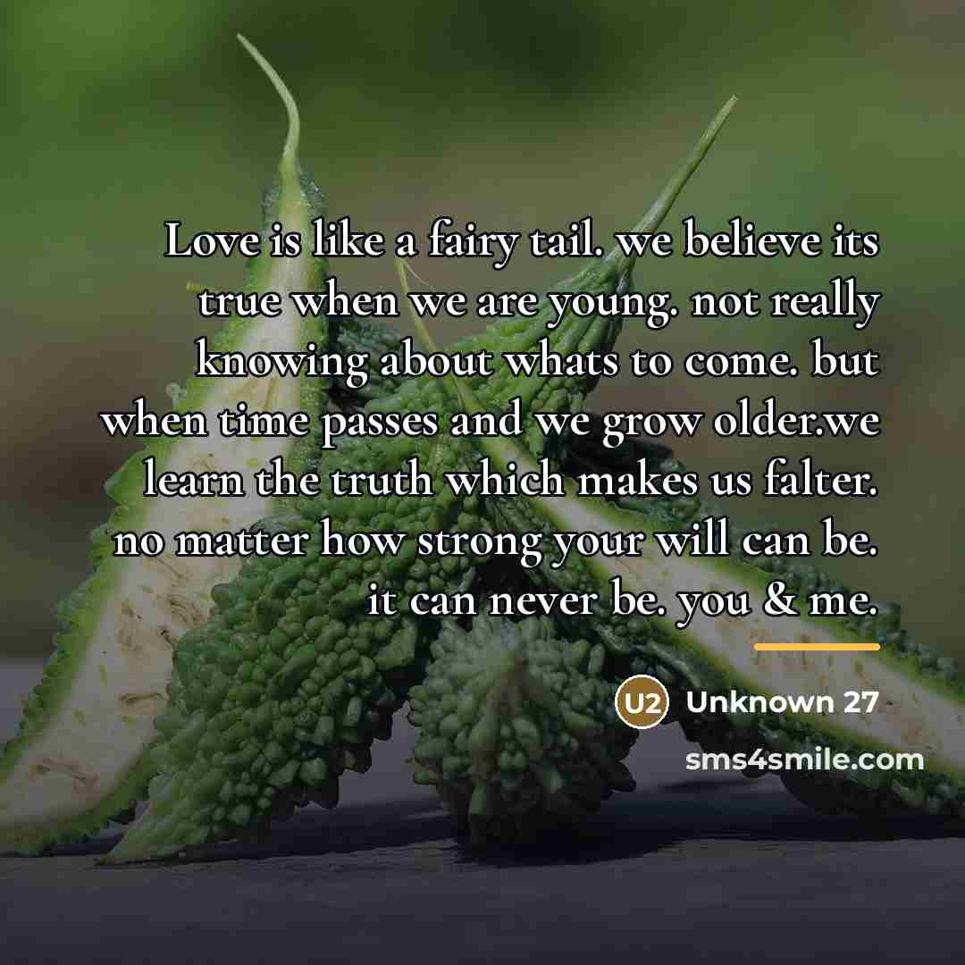 “Love is like a fairy tail. we believe its true…” quote by 27