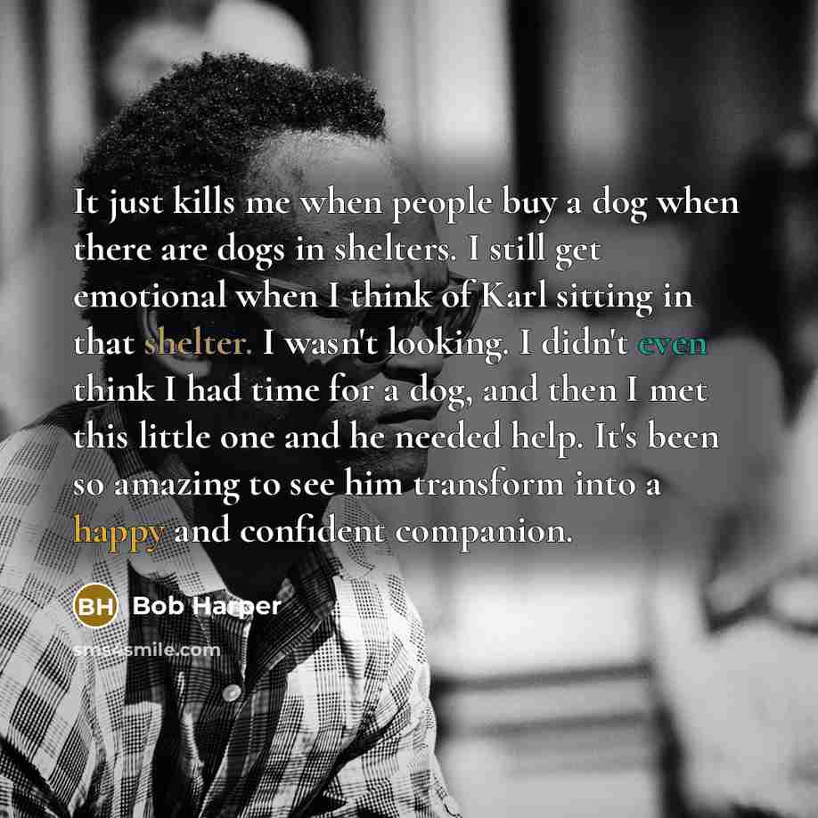 “It just kills me when people buy a dog when…” quote by Bob Harper