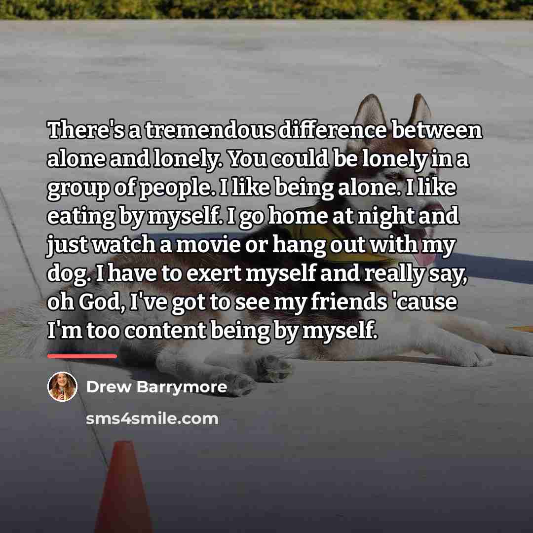 “There's a tremendous difference between alone and lonely. You could…” quote by Drew Barrymore