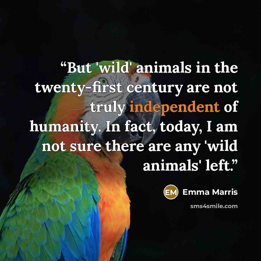 “But 'wild' animals in the twenty-first century are not truly independent of humanity. In fact, today, I am not sure there are any 'wild animals' left.” quote by Emma Marris
