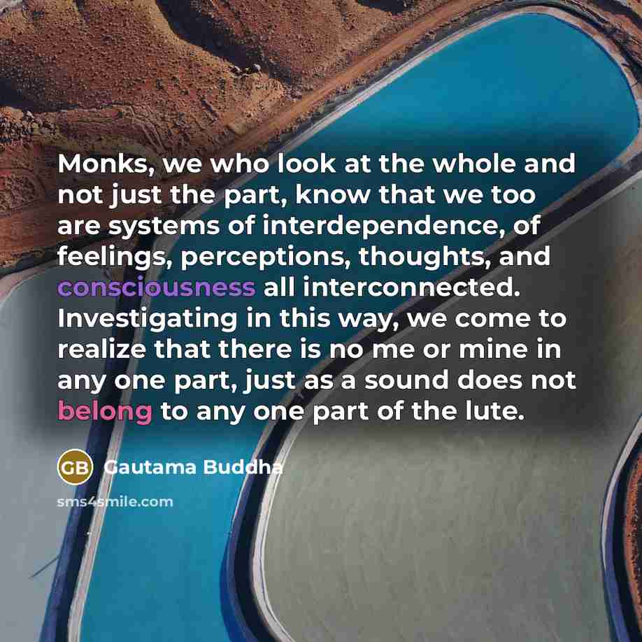 “Monks, we who look at the whole and not just…” quote by Gautama Buddha