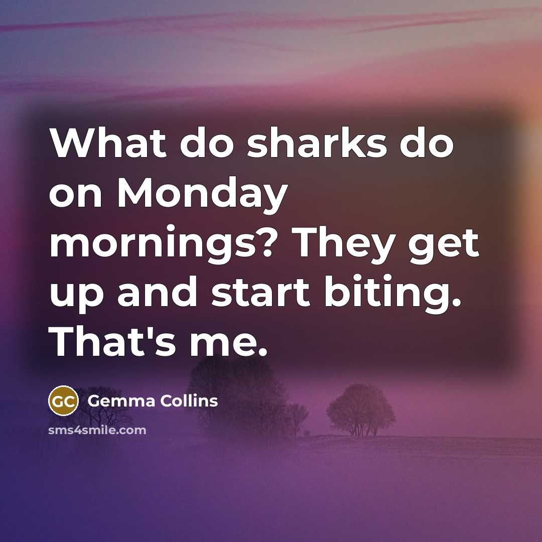 “What do sharks do on Monday mornings? They get up…” quote by Gemma Collins