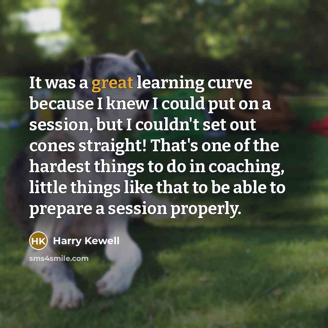 “It was a great learning curve because I knew I…” quote by Harry Kewell