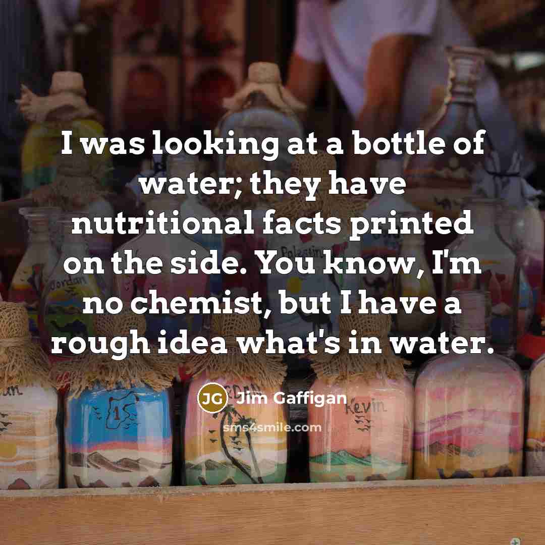 “I was looking at a bottle of water; they have nutritional facts printed on the side. You know, I'm no chemist, but I have a rough idea what's in water.” quote by Jim Gaffigan