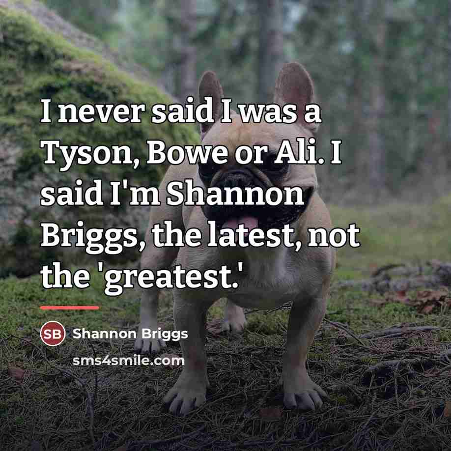 “I never said I was a Tyson, Bowe or Ali.…” quote by Shannon Briggs