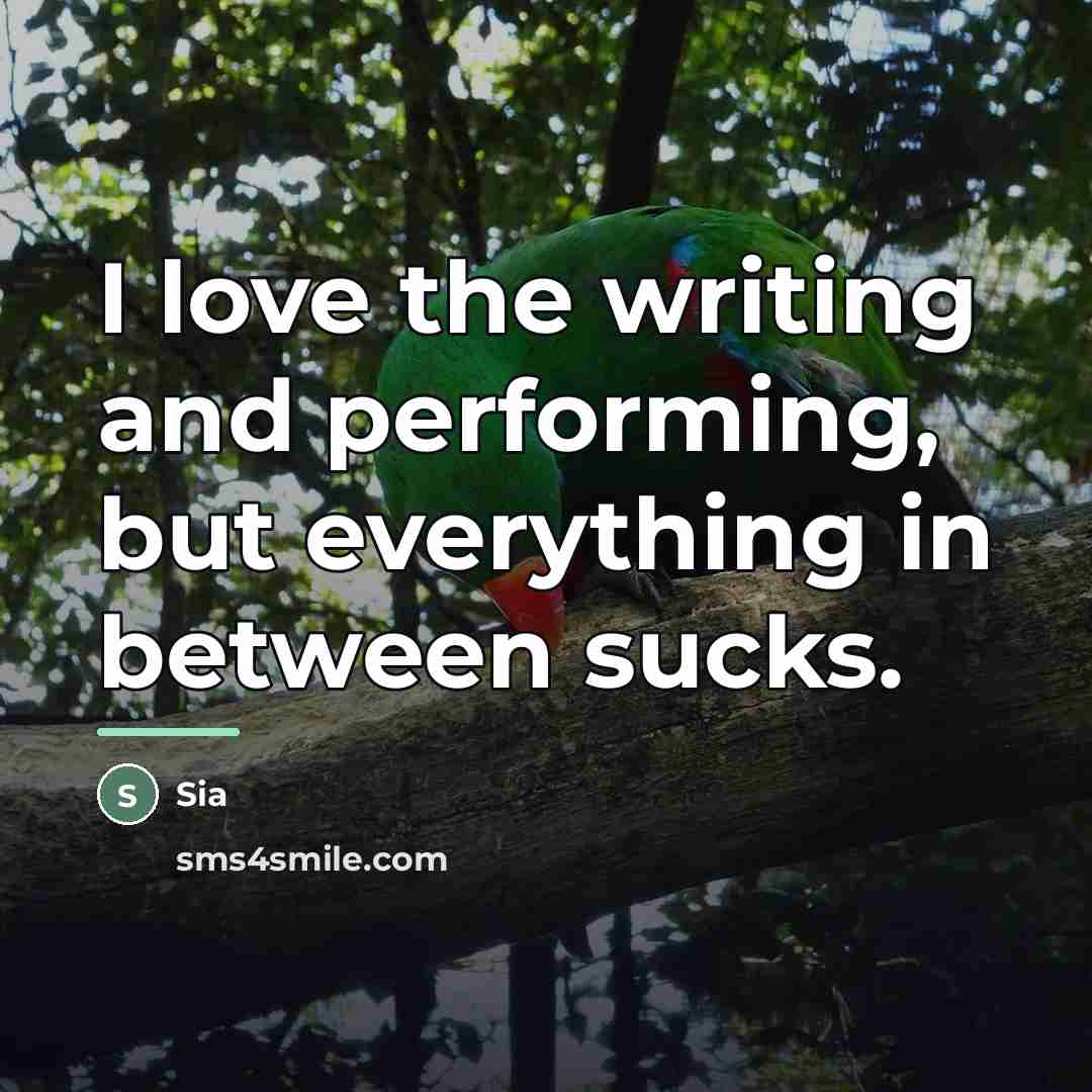 “I love the writing and performing, but everything in between…” quote by Sia
