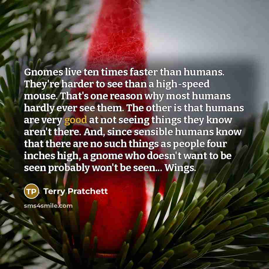 “Gnomes live ten times faster than humans. They're harder to…” quote by Terry Pratchett