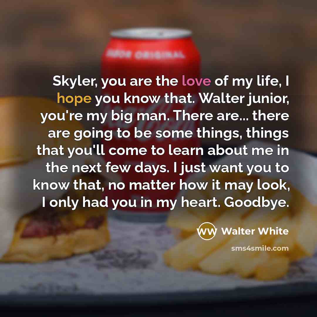 “Skyler, you are the love of my life, I hope…” quote by Walter White