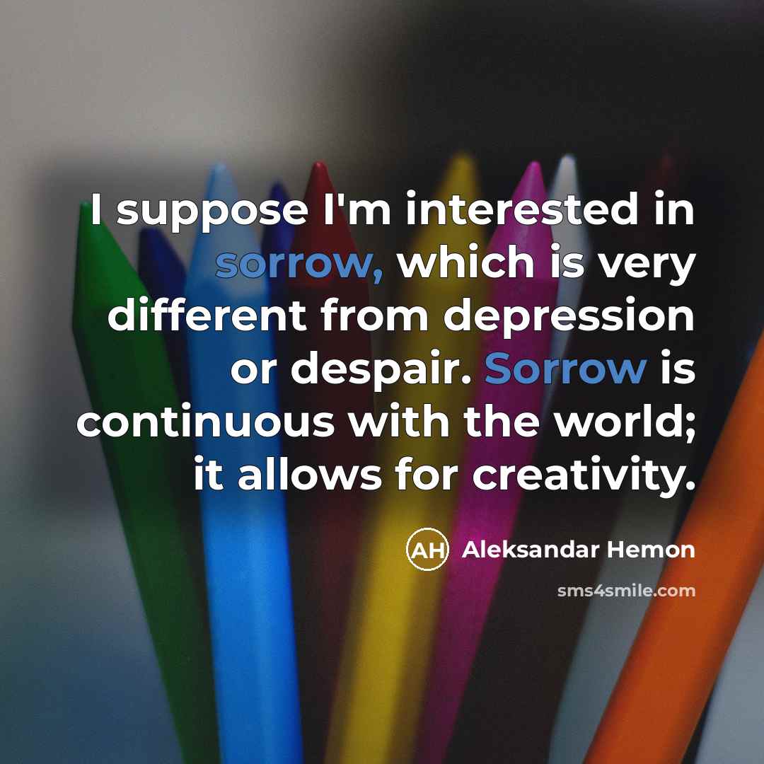 “I suppose I'm interested in sorrow, which is very different…” quote by Aleksandar Hemon