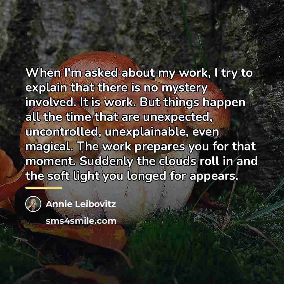 “When I'm asked about my work, I try to explain…” quote by Annie Leibovitz
