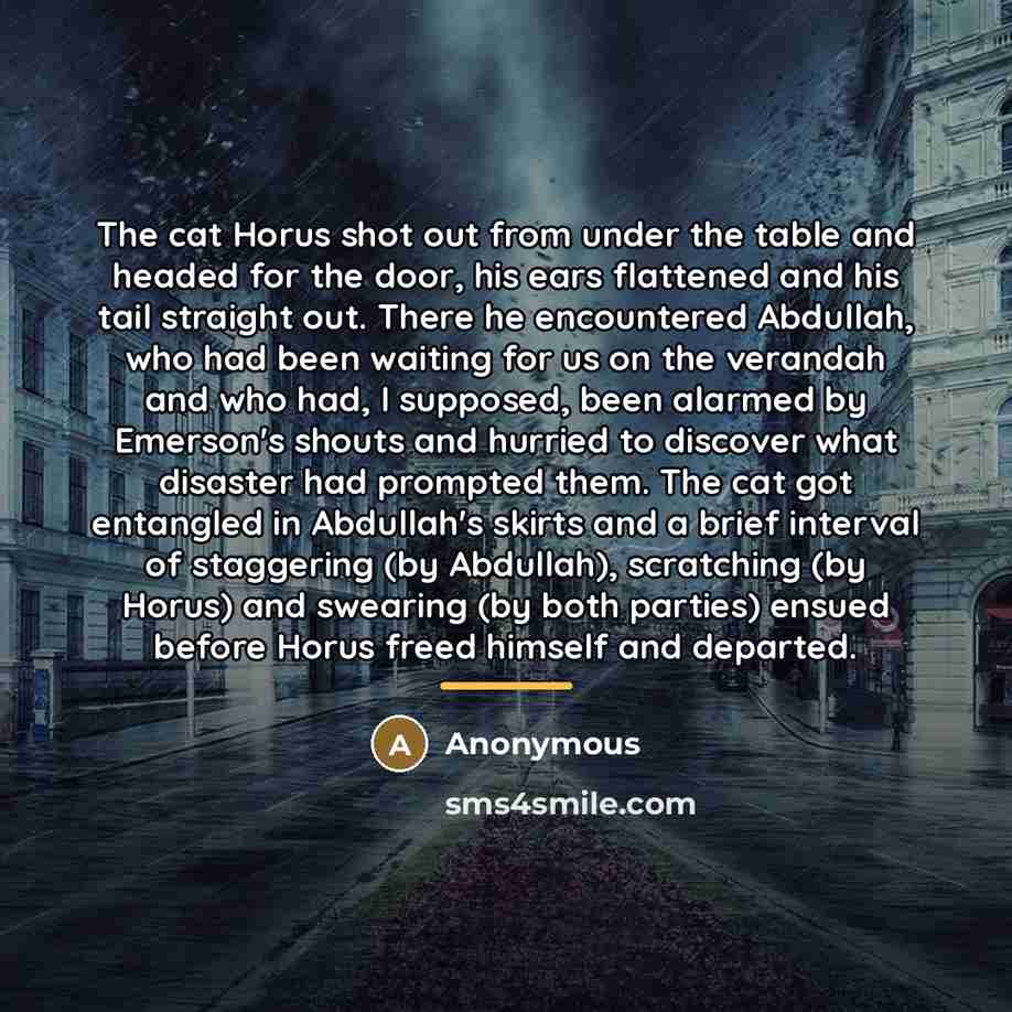 “The cat Horus shot out from under the table and…” quote by Anonymous