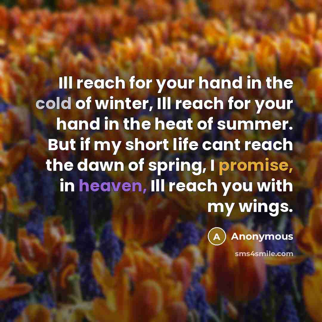 “Ill reach for your hand in the cold of winter,…” quote by Anonymous