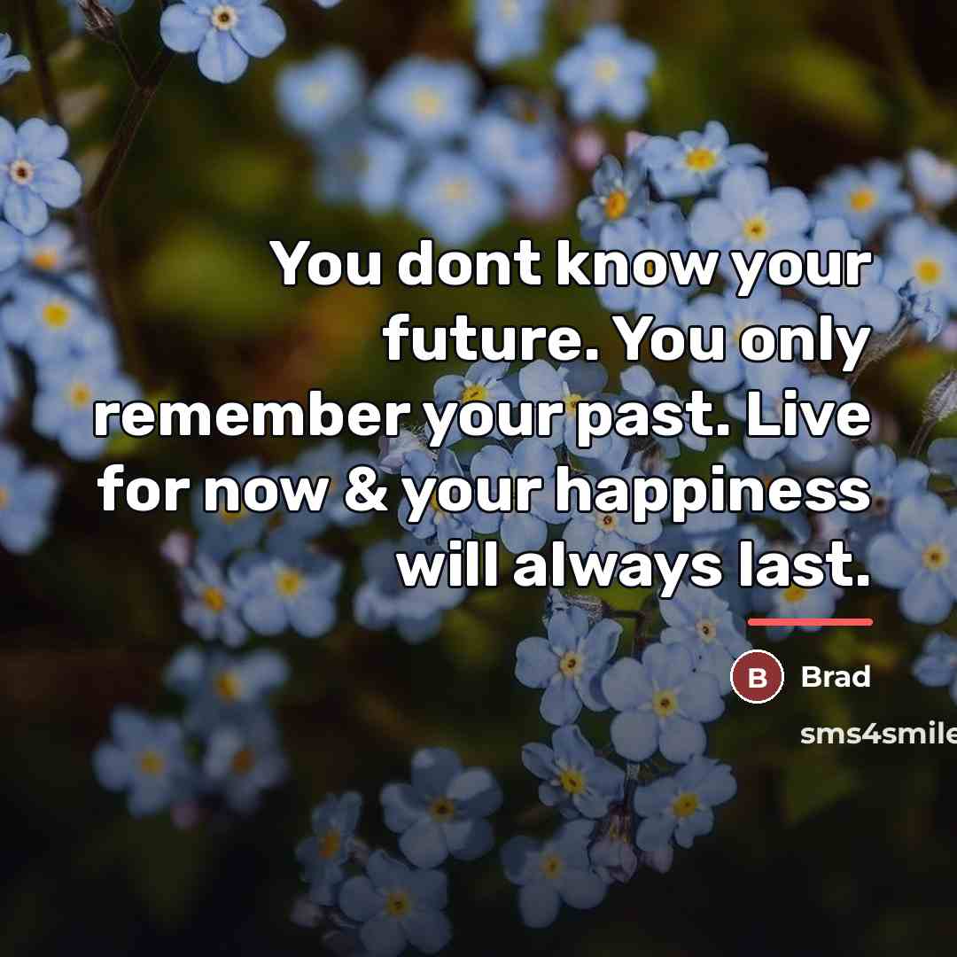 “You dont know your future. You only remember your past.…” quote by Brad