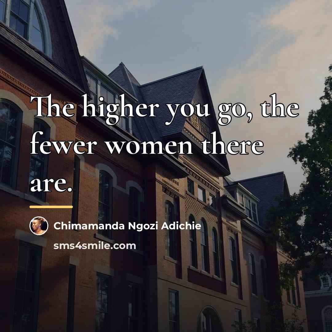 “The higher you go, the fewer women there are.…” quote by Chimamanda Ngozi Adichie