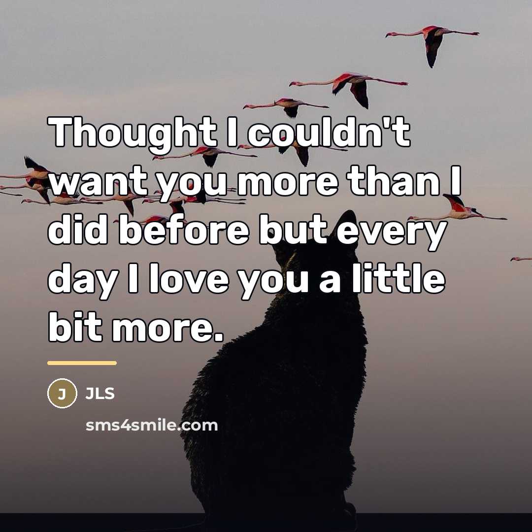 “Thought I couldn't want you more than I did before…” quote by JLS