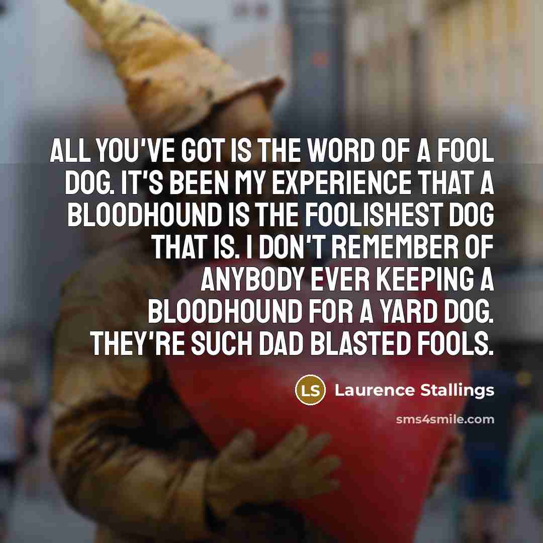 “All you've got is the word of a fool dog.…” quote by Laurence Stallings