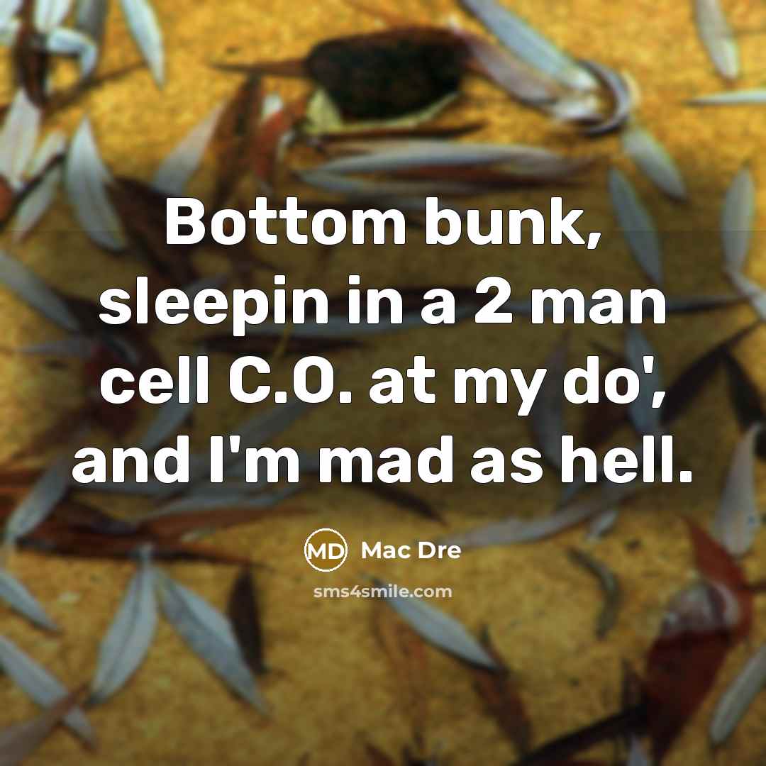 “Bottom bunk, sleepin in a 2 man cell C.O. at…” quote by Mac Dre