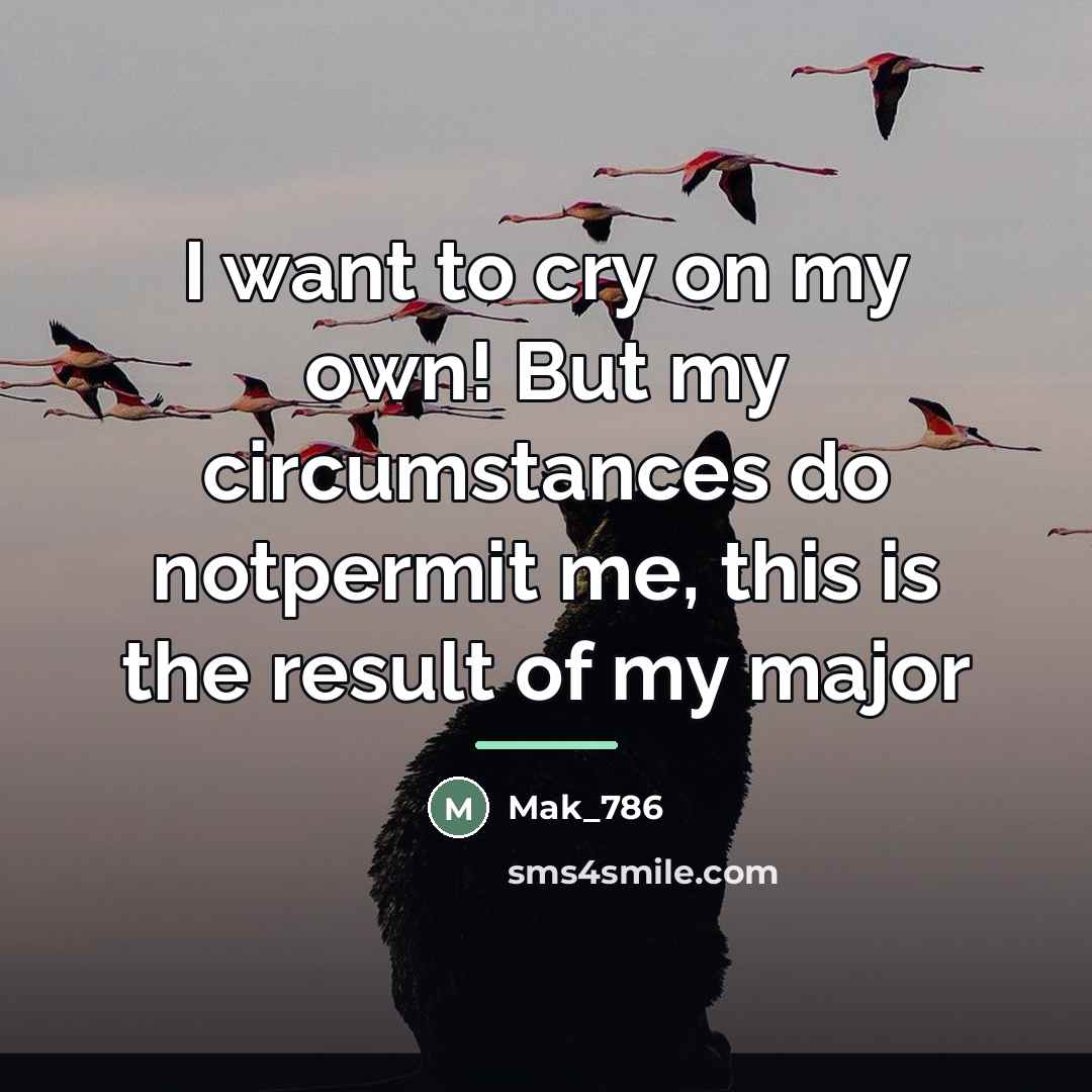 “I want to cry on my own! But my circumstances…” quote by Mak_786