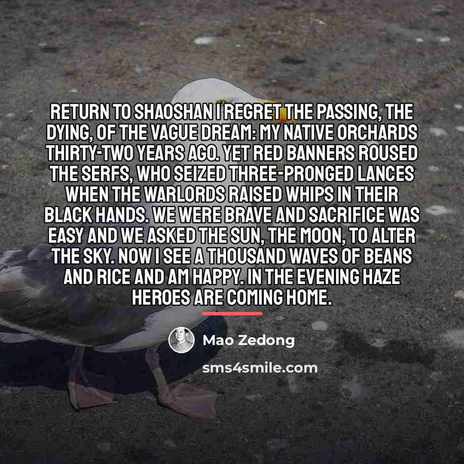 “Return to Shaoshan I regret the passing, the dying, of…” quote by Mao Zedong