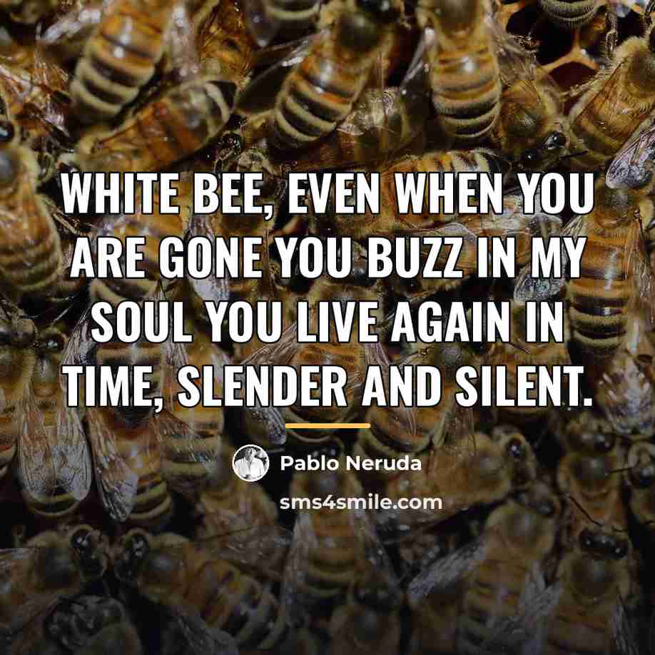 “White bee, even when you are gone you buzz in…” quote by Pablo Neruda