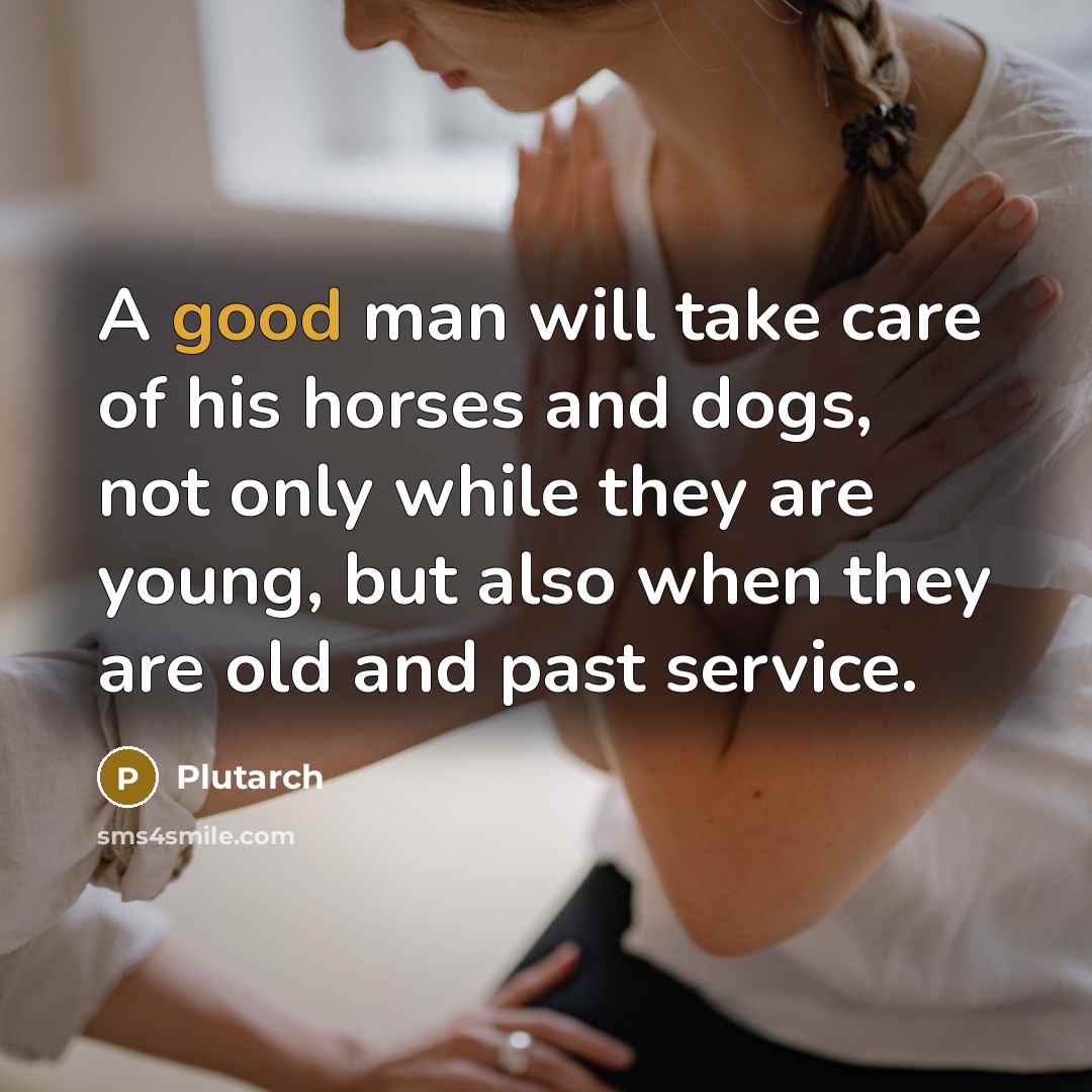 “A good man will take care of his horses and…” quote by Plutarch