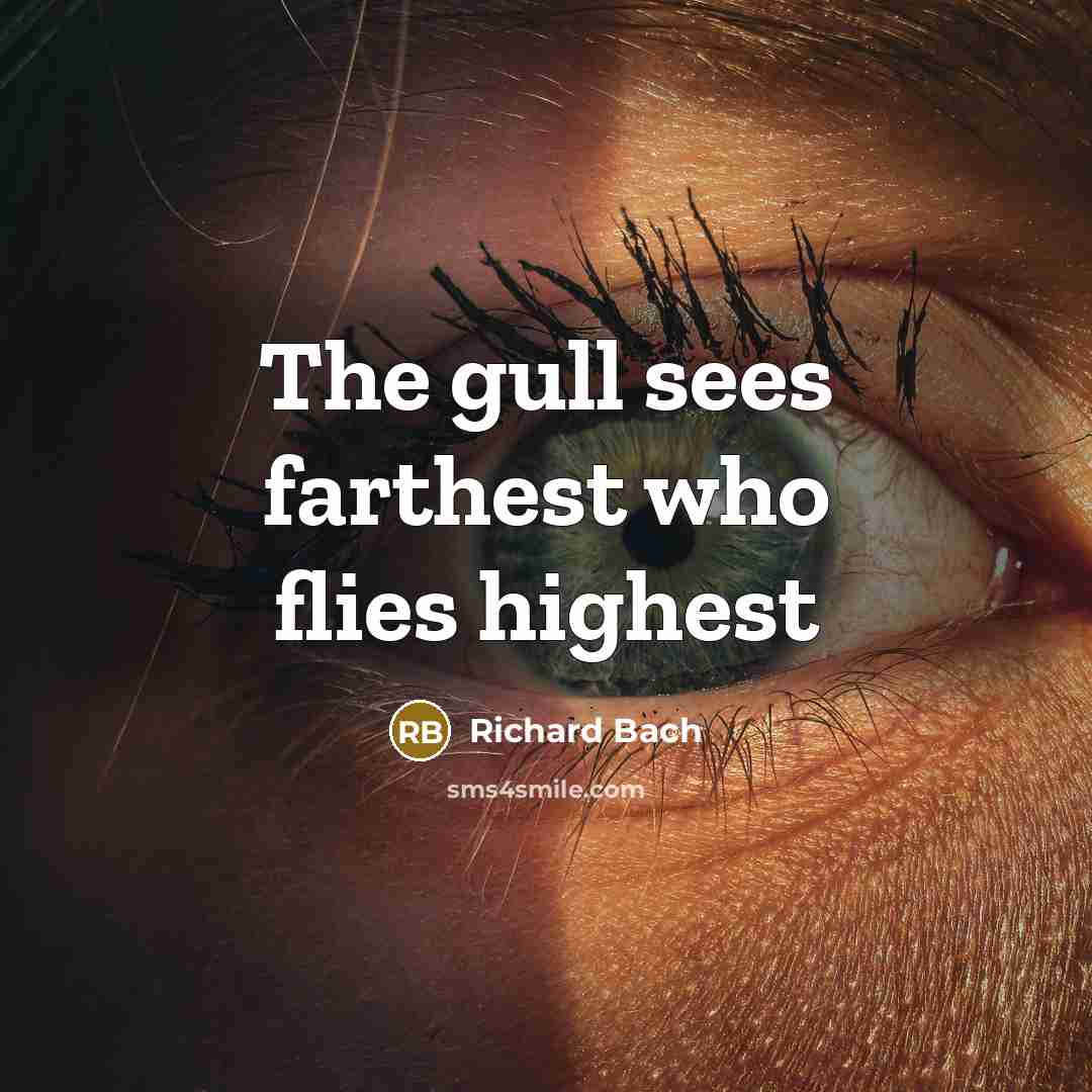 “The gull sees farthest who flies highest…” quote by Richard Bach