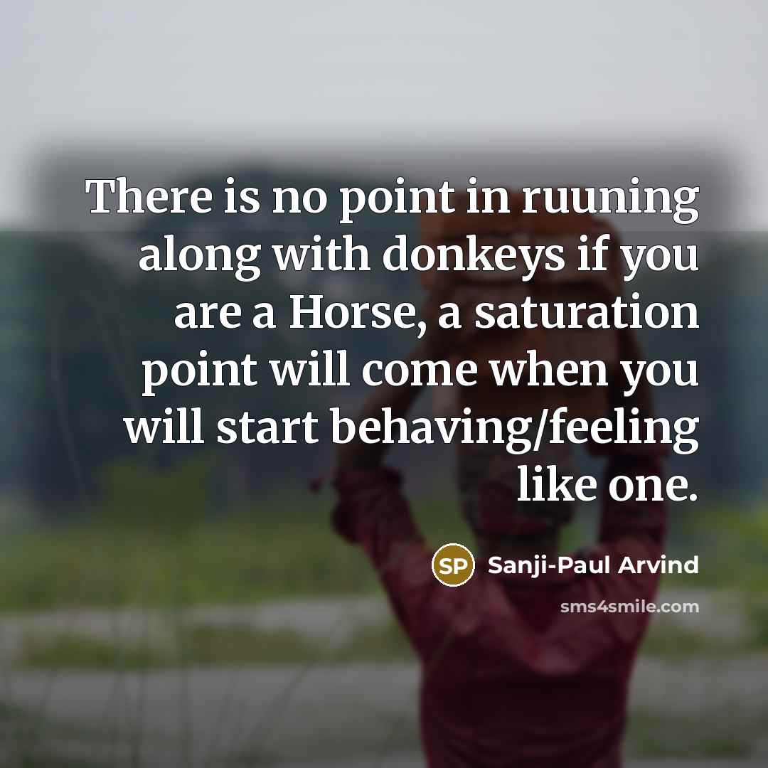 “There is no point in ruuning along with donkeys if…” quote by Sanji-Paul Arvind