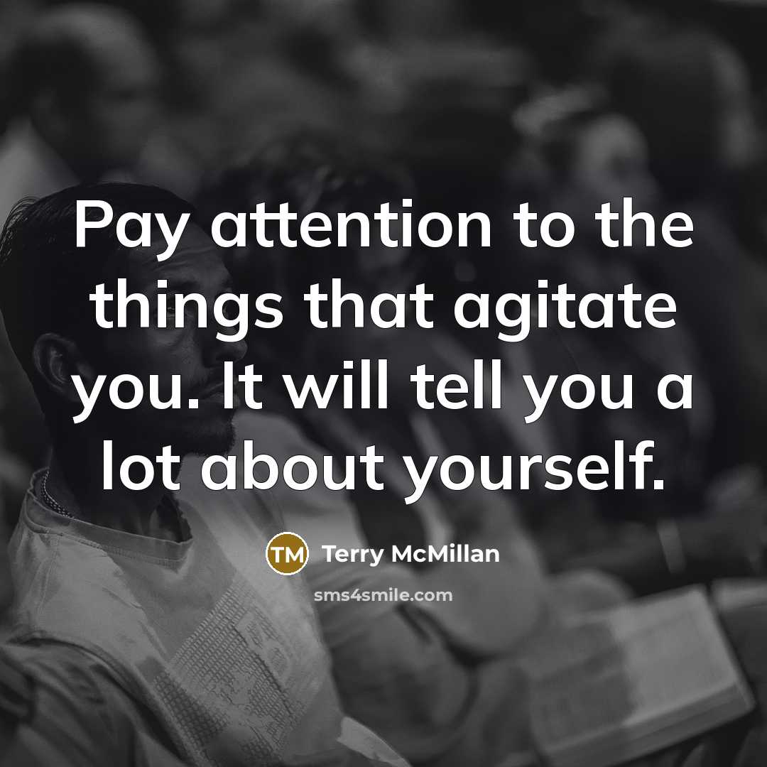 “Pay attention to the things that agitate you. It will…” quote by Terry McMillan