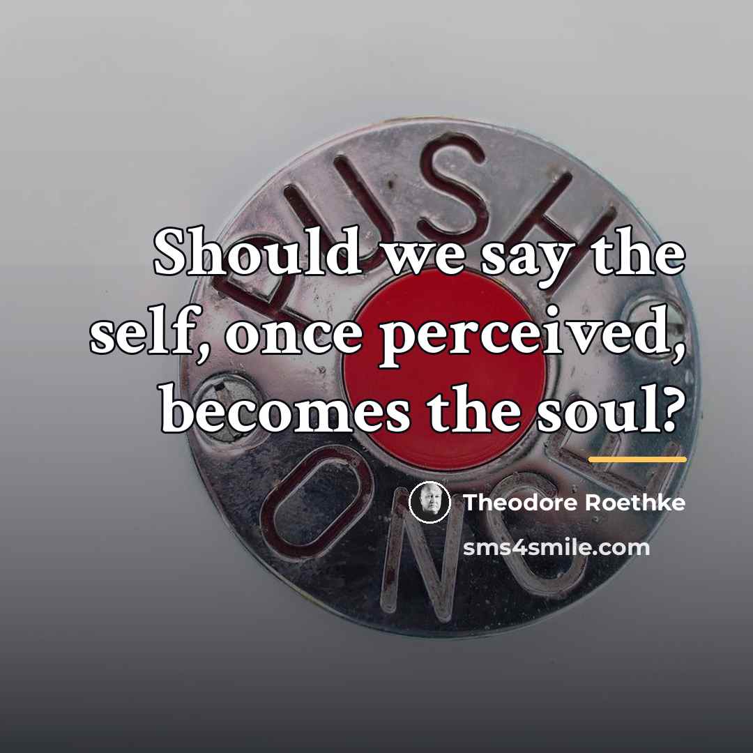 “Should we say the self, once perceived, becomes the soul?…” quote by Theodore Roethke