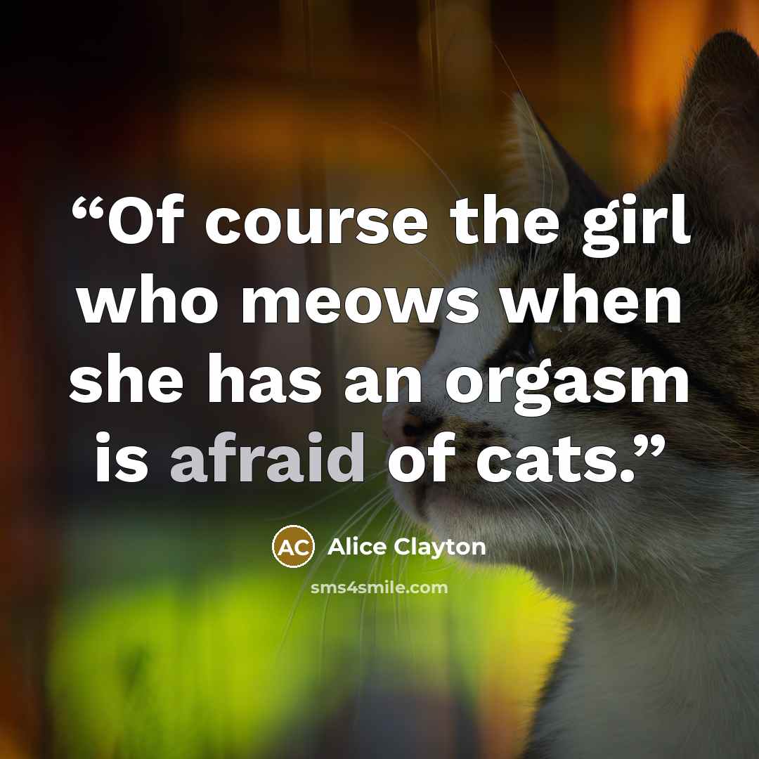 “Of course the girl who meows when she has an orgasm is afraid of cats.” quote by Alice Clayton