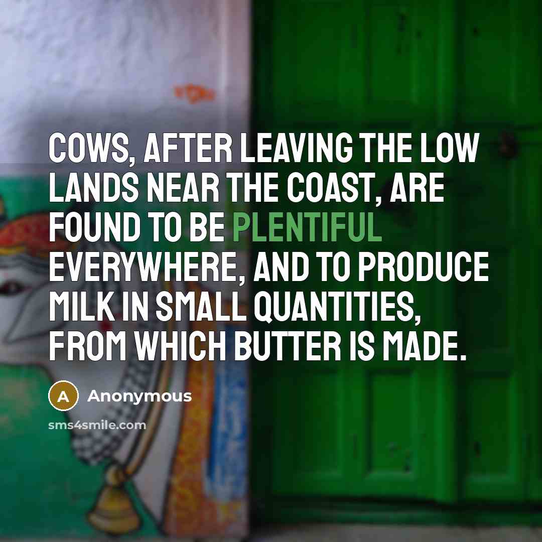 “Cows, after leaving the low lands near the coast, are…” quote by Anonymous