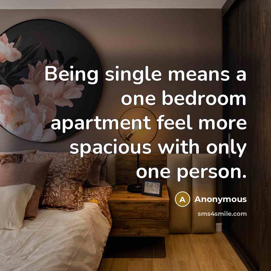 “Being single means a one bedroom apartment feel more spacious…” quote by Anonymous
