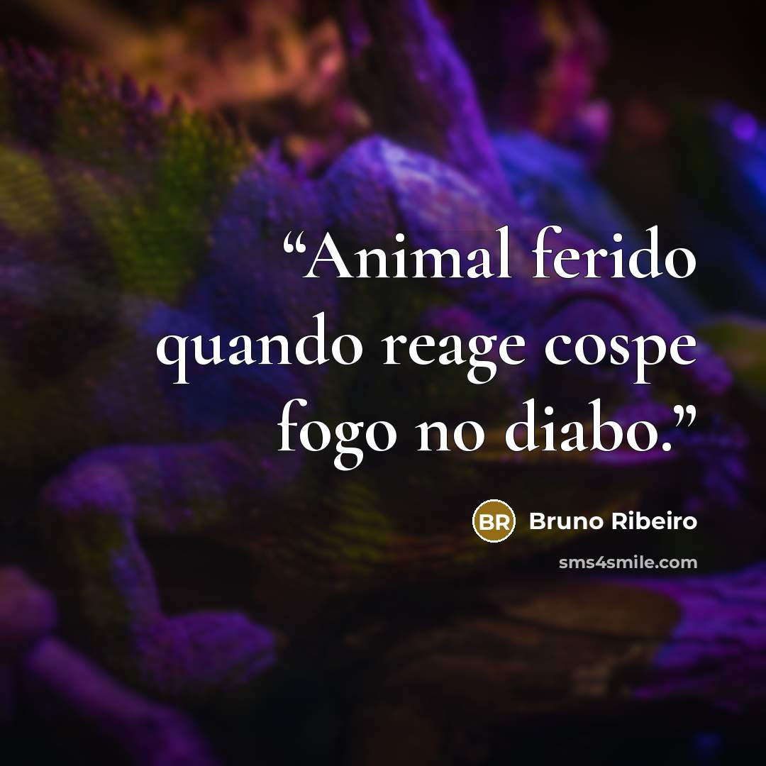 “Animal ferido quando reage cospe fogo no diabo.” quote by Bruno Ribeiro