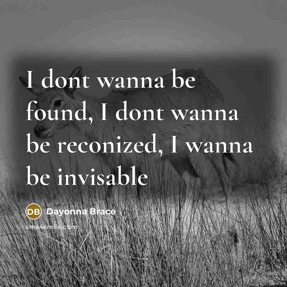“I dont wanna be found, I dont wanna be reconized,…” quote by Dayonna Brace
