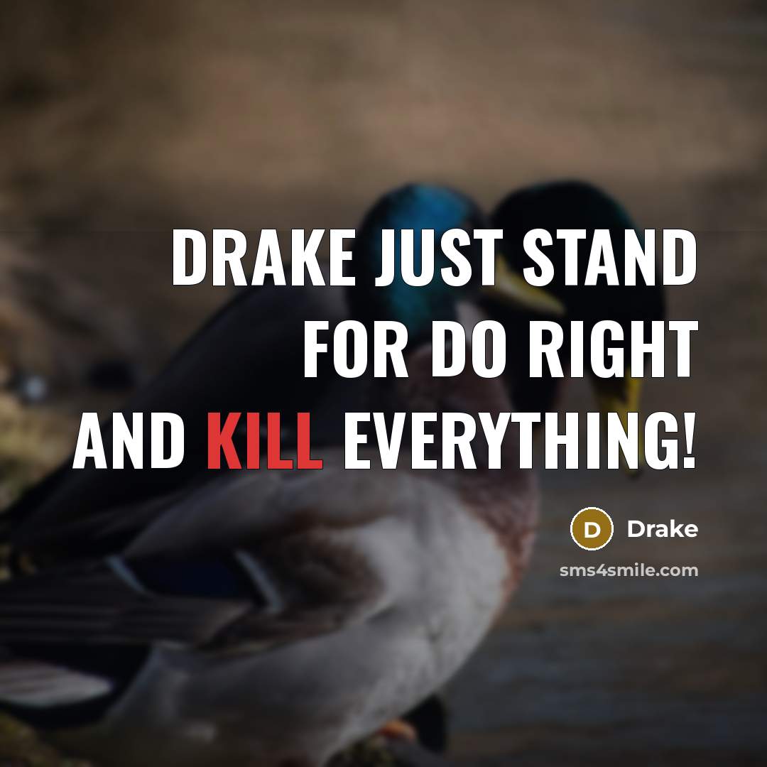 “Drake just stand for do right and kill everything!” quote by Drake