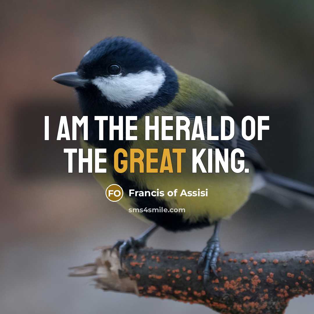 “I am the herald of the Great King.…” quote by Francis of Assisi