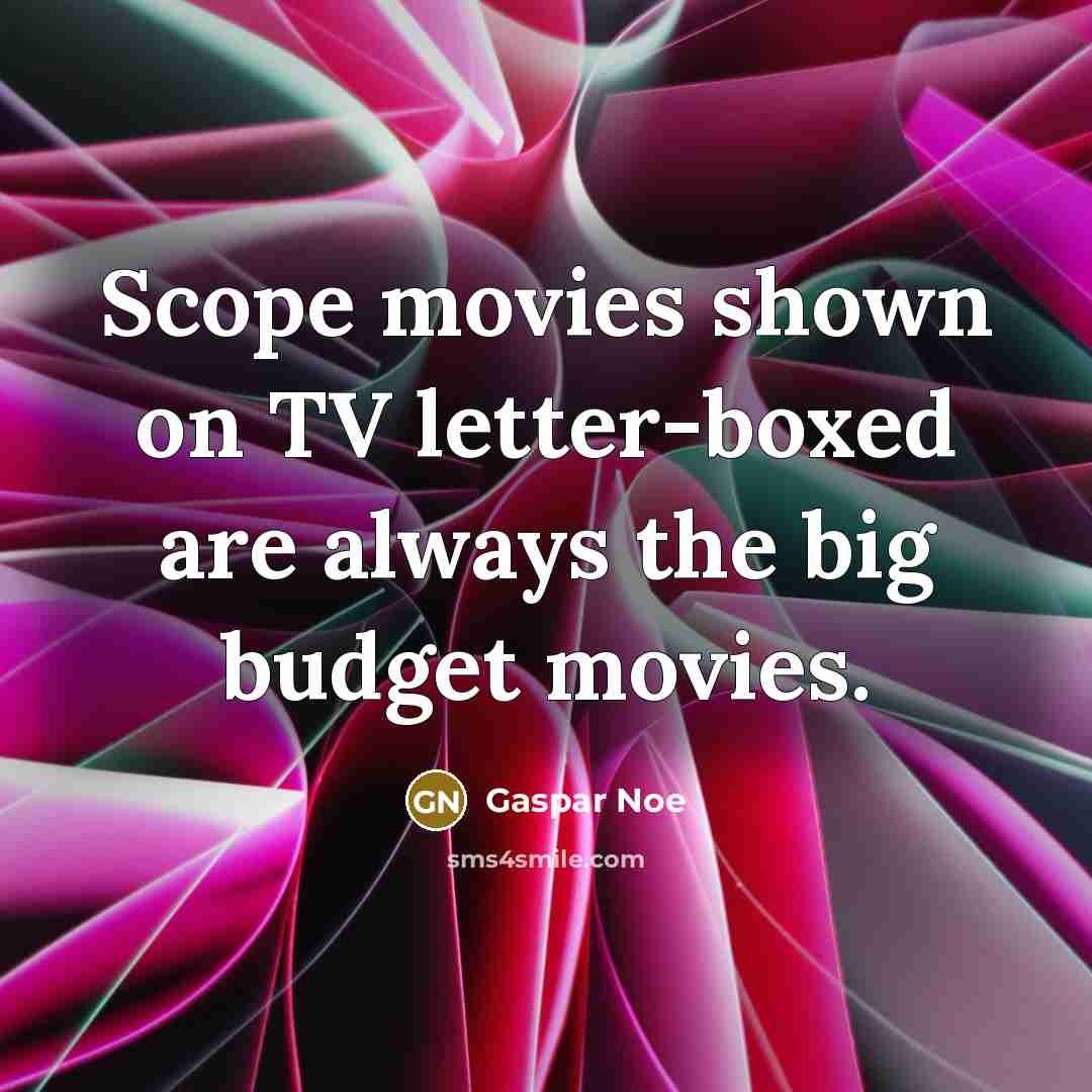 “Scope movies shown on TV letter-boxed are always the big budget movies.” quote by Gaspar Noe
