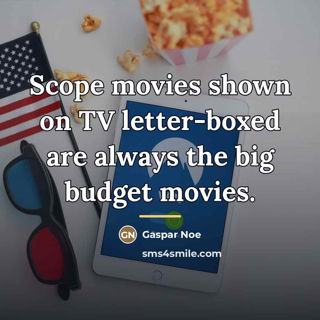 “Scope movies shown on TV letter-boxed are always the big…” quote by Gaspar Noe