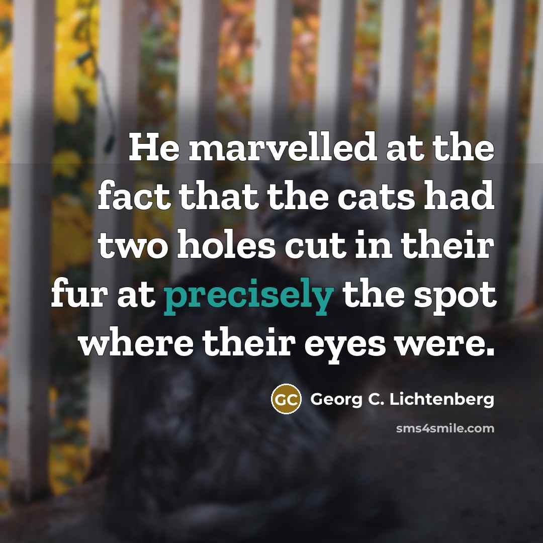 “He marvelled at the fact that the cats had two…” quote by Georg C. Lichtenberg