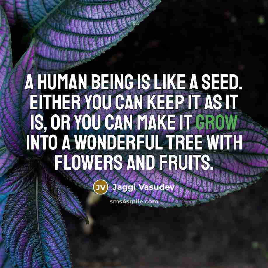 “A human being is like a seed. Either you can…” quote by Jaggi Vasudev